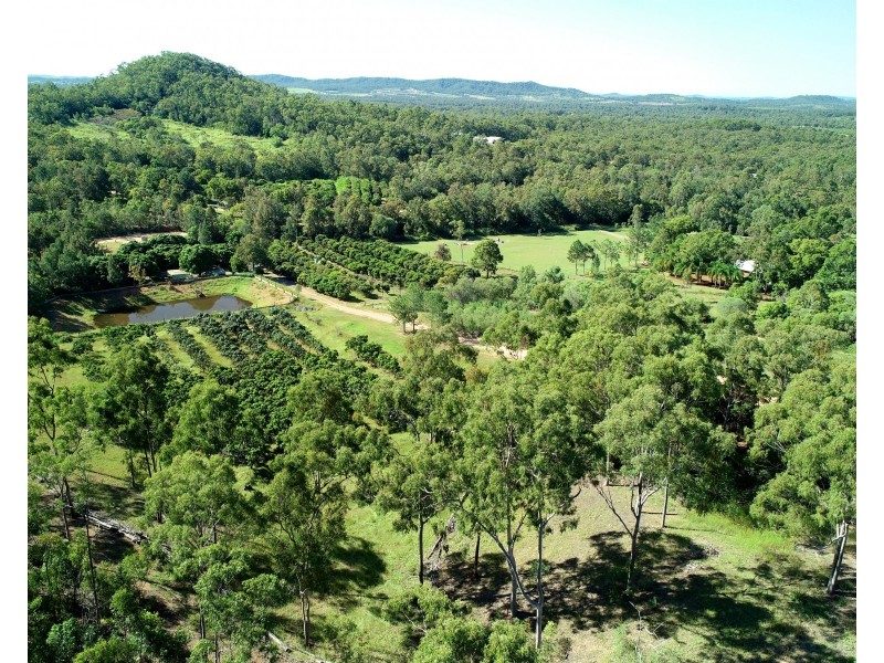 49 Clinton Road, Cawarral QLD 4702