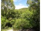99 Barlows Road, Yeppoon QLD 4703