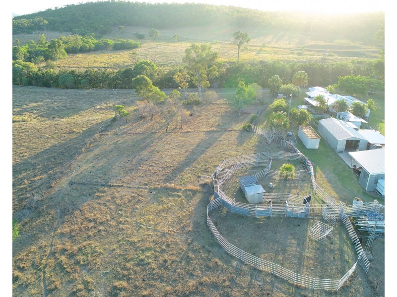 202 Dairy Inn Road, Cawarral QLD 4702