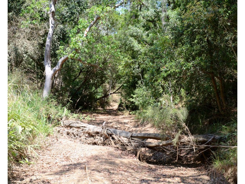377 Tanby Post Office Road, Tanby QLD 4703