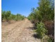 377 Tanby Post Office Road, Tanby QLD 4703