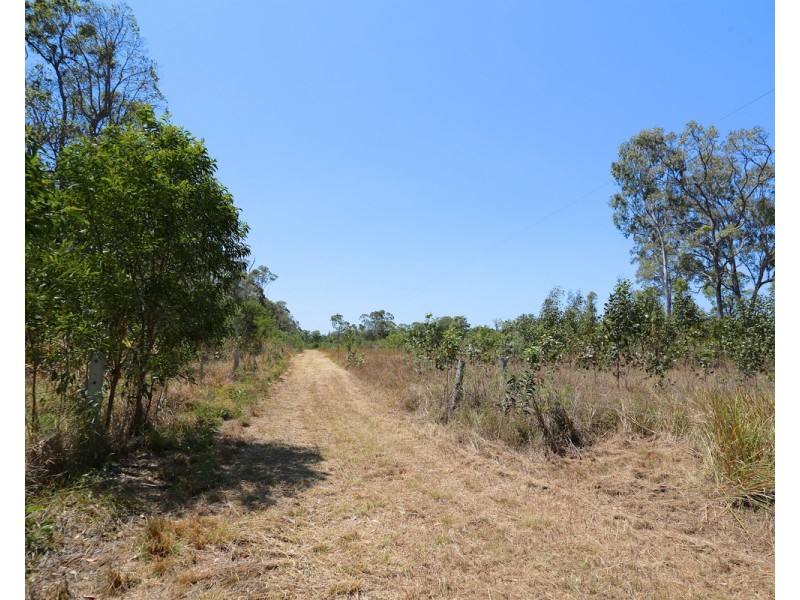 377 Tanby Post Office Road, Tanby QLD 4703