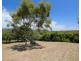 8 Woodland Place, Zilzie QLD 4710