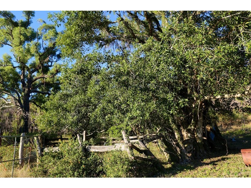 144 Tookers Road, Cawarral QLD 4702