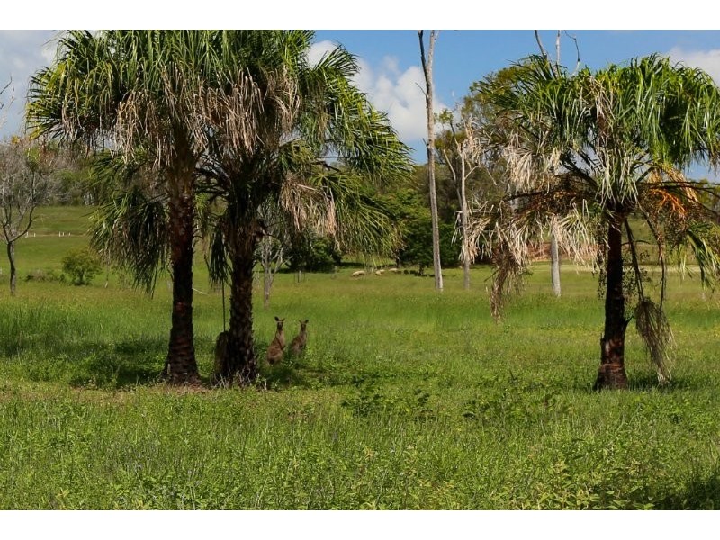 824 Coowonga Road, Coowonga QLD 4702