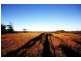 251 Warcons Road, Cawarral QLD 4702