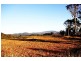 251 Warcons Road, Cawarral QLD 4702