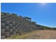 6 Livistonia Crescent, Emu Park QLD 4710