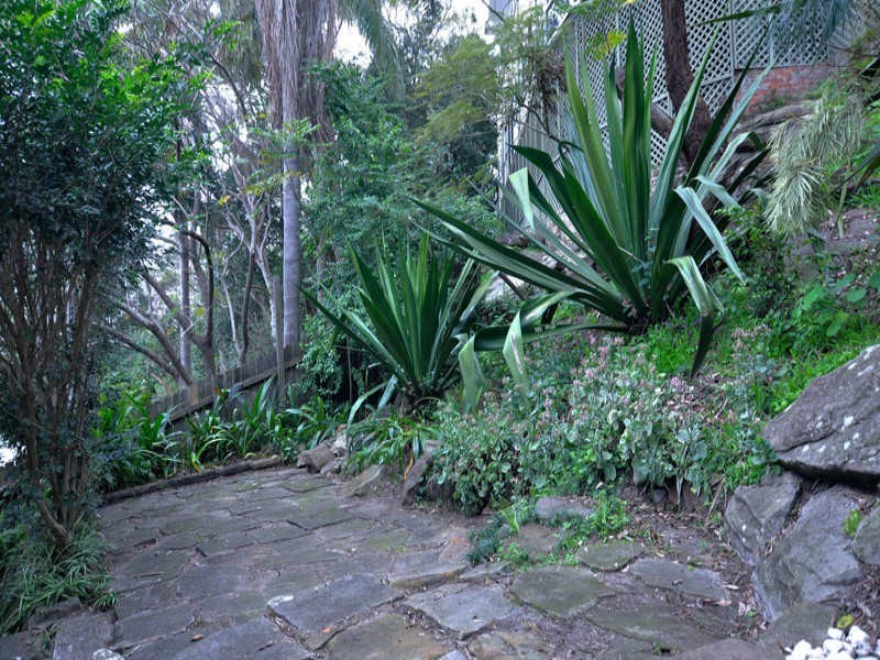 North Narrabeen NSW 2101