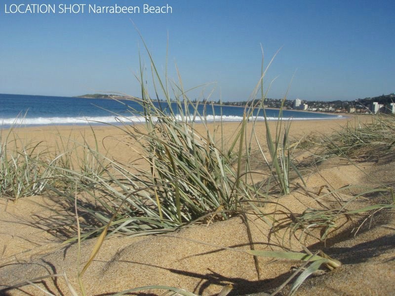 Narrabeen NSW 2101