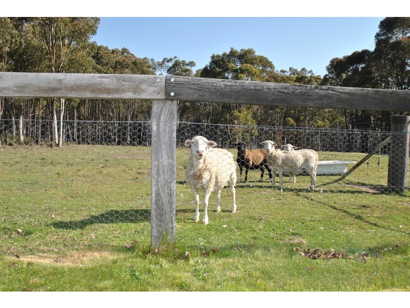 11 Shepherd Drive, Mullion Creek NSW 2800