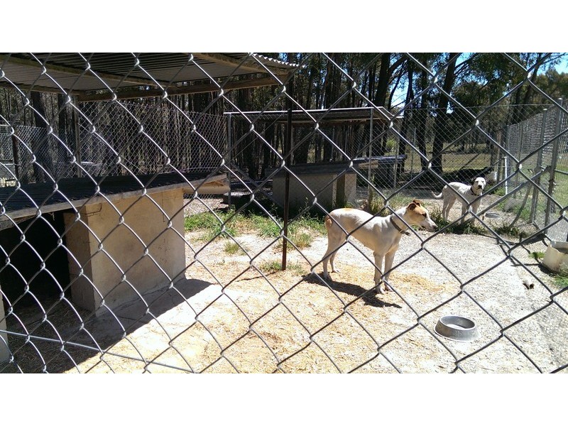 11 Shepherd Drive, Mullion Creek NSW 2800