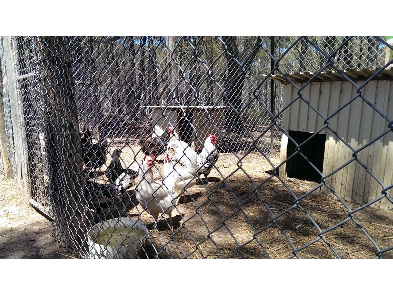 11 Shepherd Drive, Mullion Creek NSW 2800