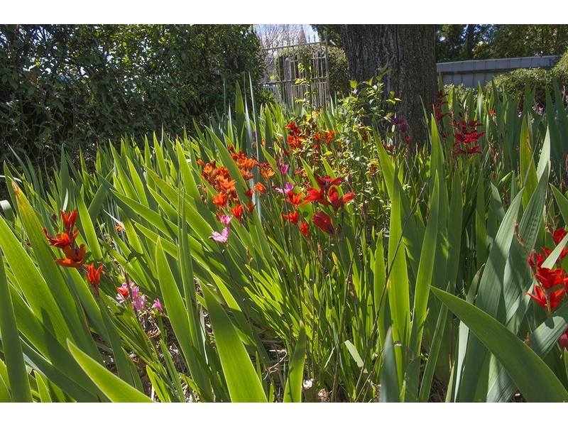 62 Byng Street, Orange NSW 2800