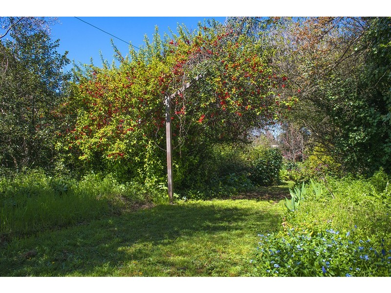 62 Byng Street, Orange NSW 2800