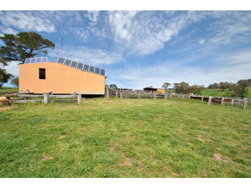 “Turrawan” Jones Lane, Newbridge NSW 2795