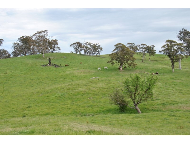 “Turrawan” Jones Lane, Newbridge NSW 2795