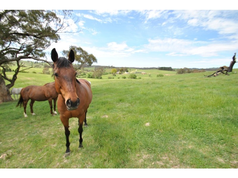 “Turrawan” Jones Lane, Newbridge NSW 2795