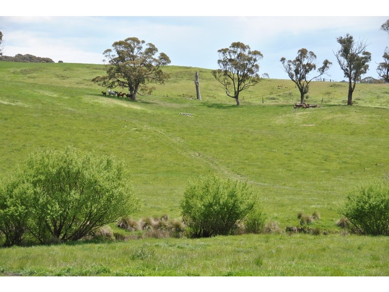 “Turrawan” Jones Lane, Newbridge NSW 2795