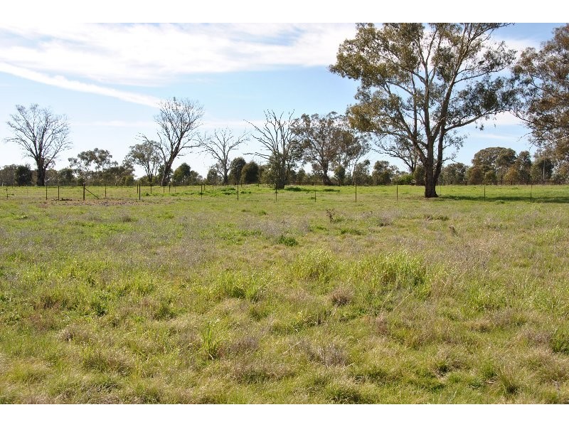 35, 39, 47, 49 & 51 Rodda Drive, Cudal NSW 2864