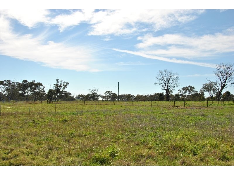 35, 39, 47, 49 & 51 Rodda Drive, Cudal NSW 2864