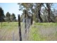 35, 39, 47, 49 & 51 Rodda Drive, Cudal NSW 2864