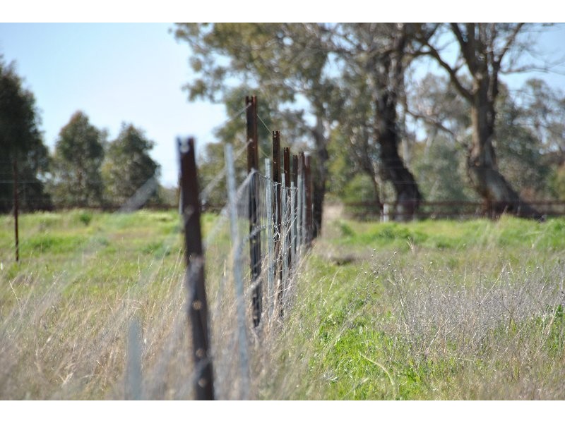 35, 39, 47, 49 & 51 Rodda Drive, Cudal NSW 2864