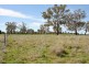 35, 39, 47, 49 & 51 Rodda Drive, Cudal NSW 2864