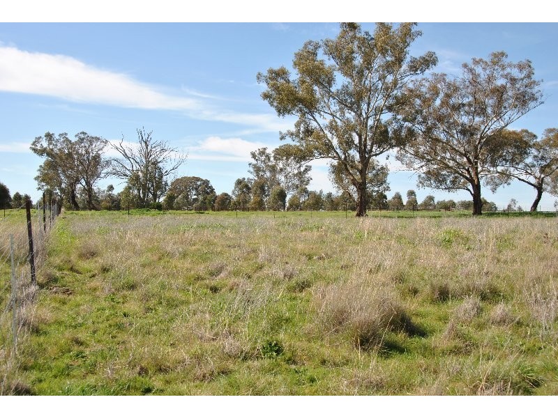 35, 39, 47, 49 & 51 Rodda Drive, Cudal NSW 2864