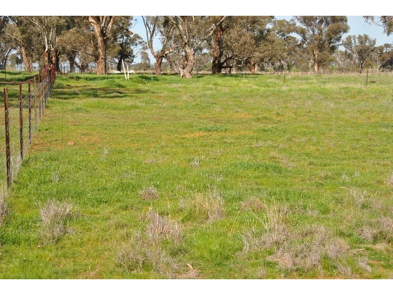 35, 39, 47, 49 & 51 Rodda Drive, Cudal NSW 2864