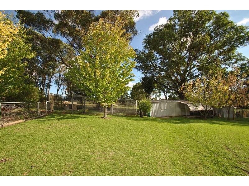 Orange NSW 2800