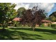 Orange NSW 2800