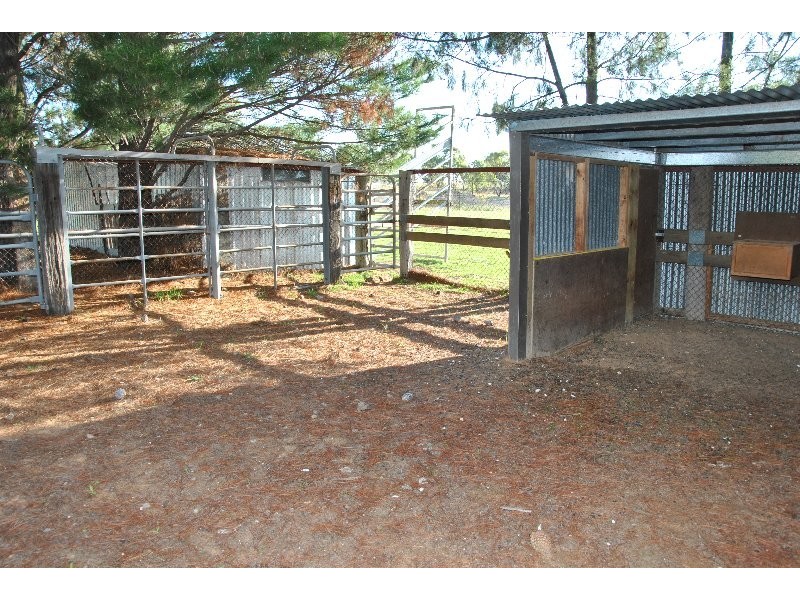 Orange NSW 2800