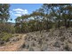 174 Post Office Lane, Lewis Ponds NSW 2800