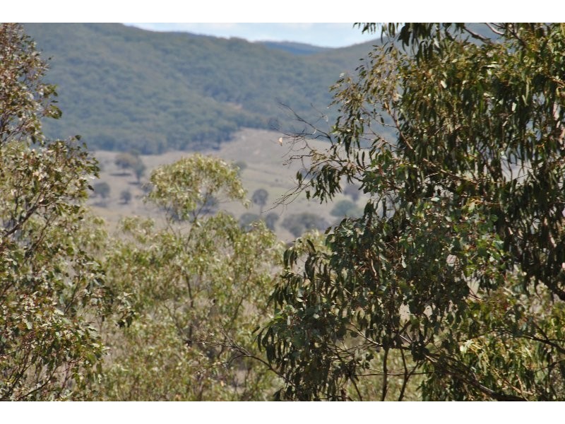 174 Post Office Lane, Lewis Ponds NSW 2800