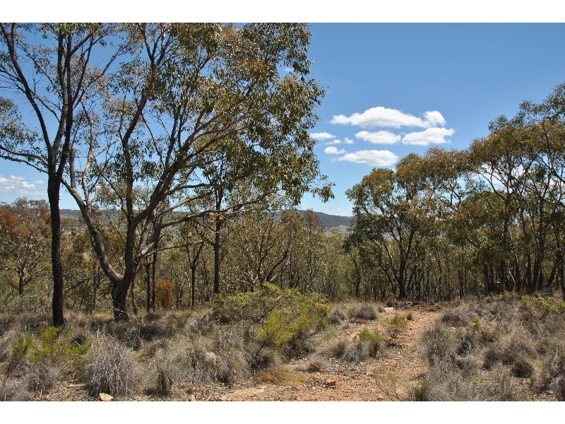 174 Post Office Lane, Lewis Ponds NSW 2800