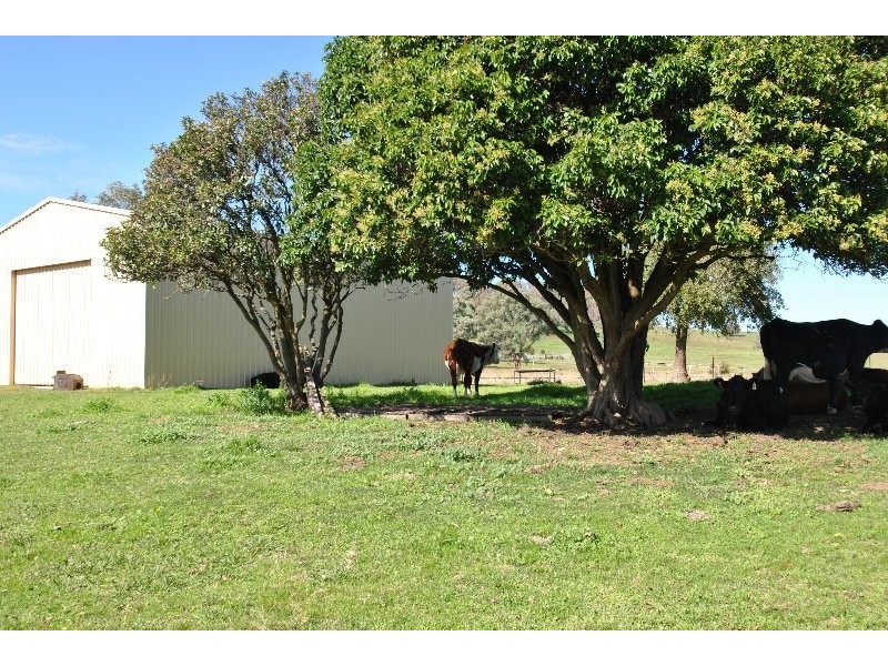 151 Garland Road, Lyndhurst NSW 2797