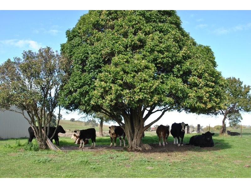 151 Garland Road, Lyndhurst NSW 2797