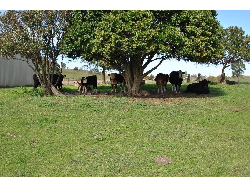 151 Garland Road, Lyndhurst NSW 2797