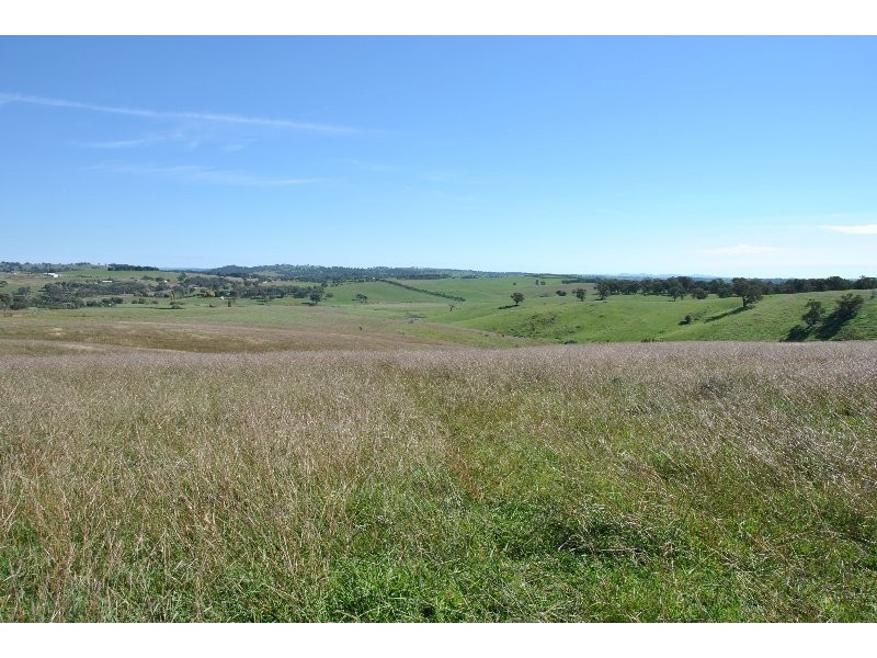 1190 Mitchell Highway, Orange NSW 2800
