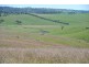 1190 Mitchell Highway, Orange NSW 2800