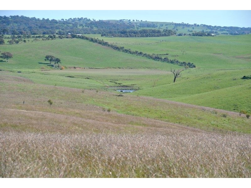 1190 Mitchell Highway, Orange NSW 2800
