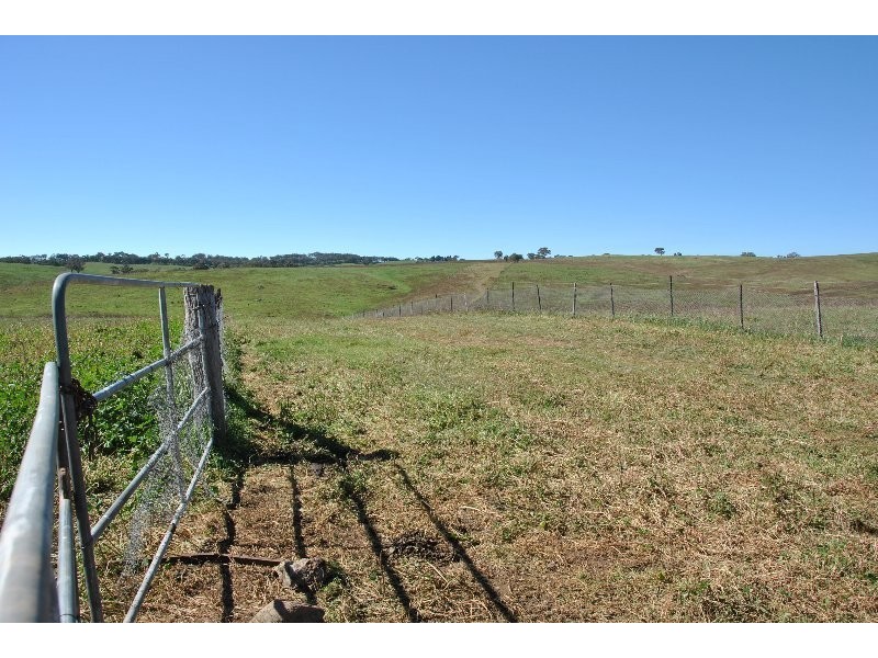 1190 Mitchell Highway, Orange NSW 2800