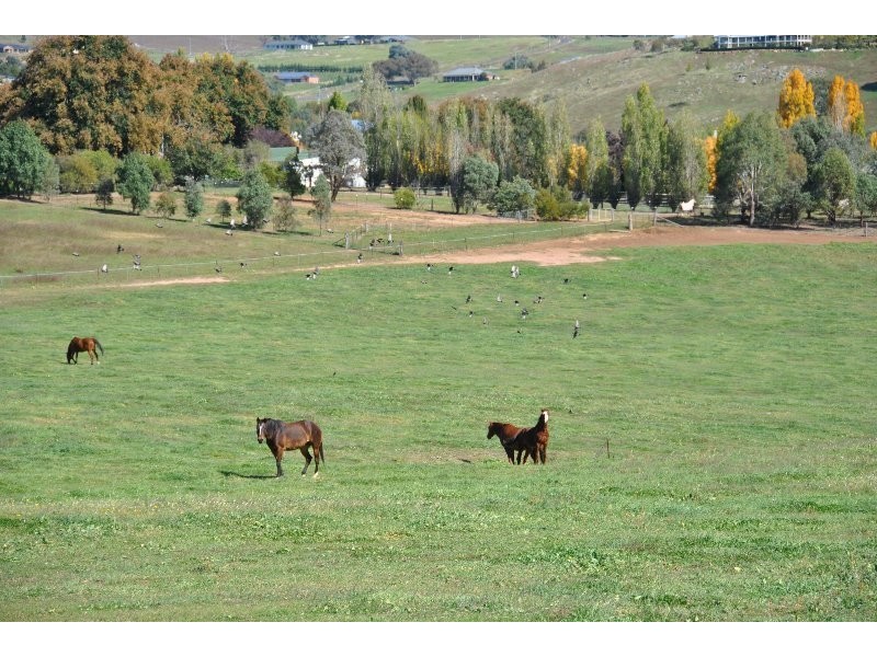 1190 Mitchell Highway, Orange NSW 2800