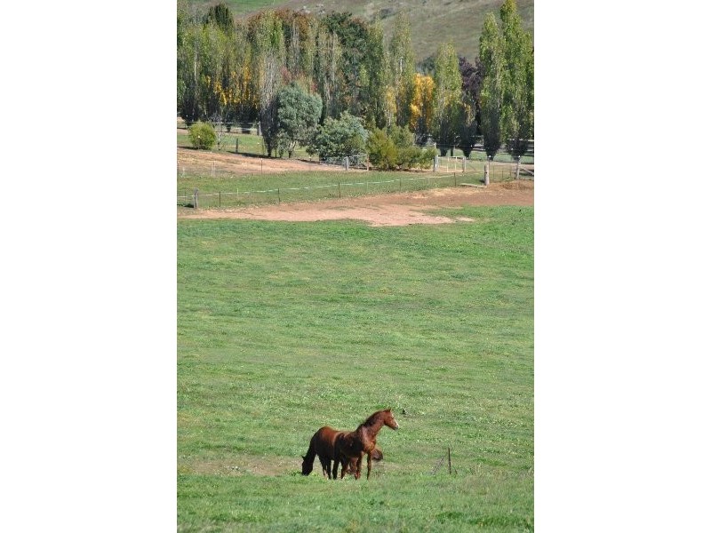 1190 Mitchell Highway, Orange NSW 2800