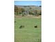 1190 Mitchell Highway, Orange NSW 2800