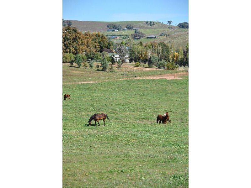 1190 Mitchell Highway, Orange NSW 2800