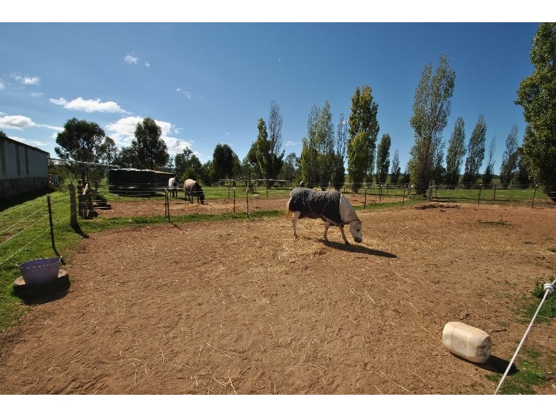 1190 Mitchell Highway, Orange NSW 2800