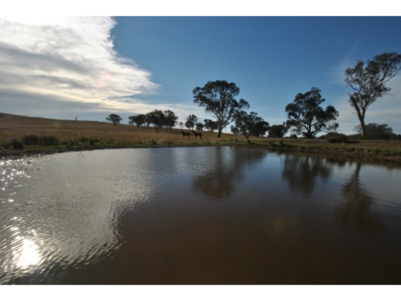 200 Quirks Loop, Stuart Town NSW 2820