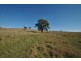 200 Quirks Loop, Stuart Town NSW 2820